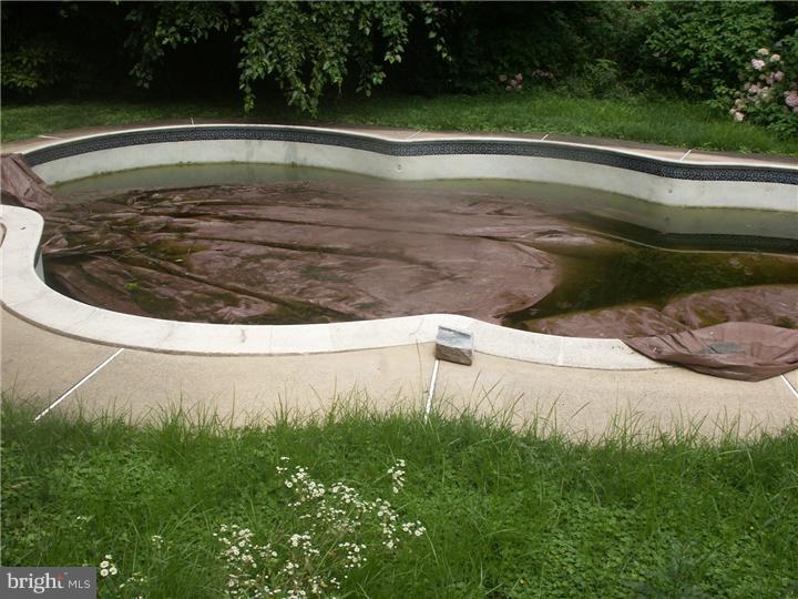 530 South Providence Road Wallingford, PA 19086 - Photo 8 of 8 Pool