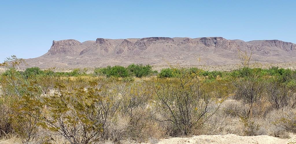 4813 Youre Lost Road Alpine, TX 79830 - Photo 1 of 1 Gallery Image 1
