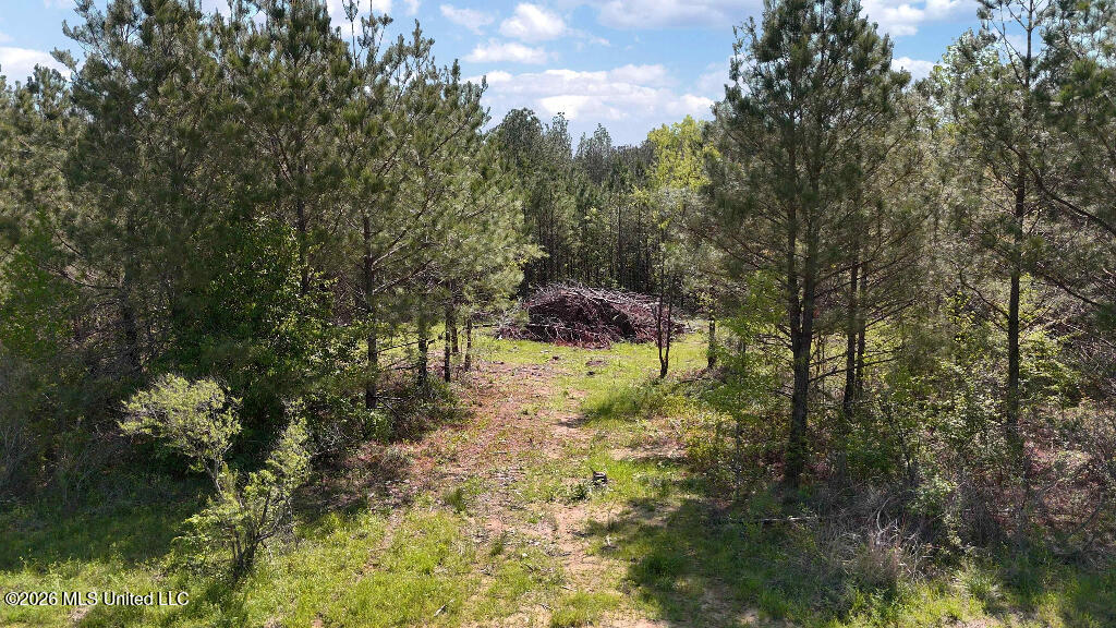 290 Mt Helm Road Brandon, MS 39047 - Photo 1 of 26 Lot