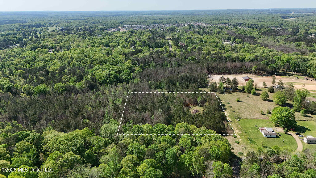 290 Mt Helm Road Brandon, MS 39047 - Photo 11 of 26 10
