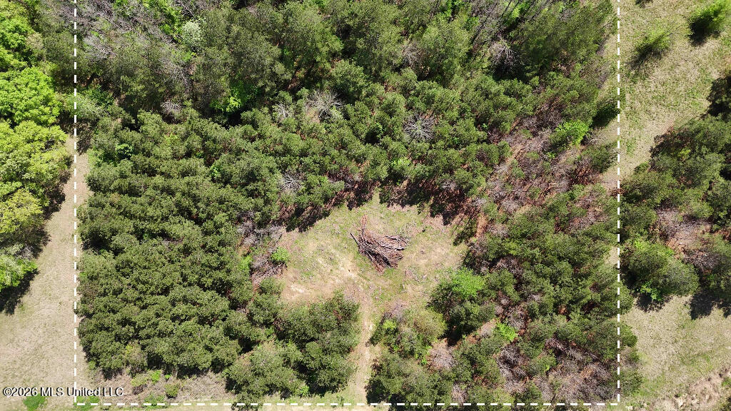 290 Mt Helm Road Brandon, MS 39047 - Photo 13 of 26 12