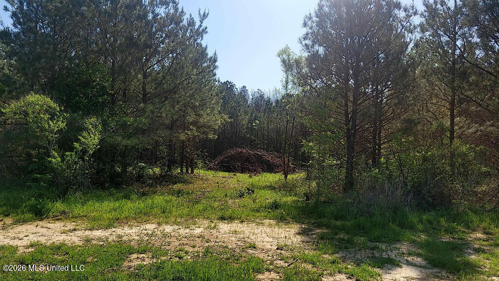 290 Mt Helm Road Brandon, MS 39047 - Photo 16 of 26 15