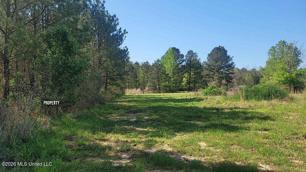 290 Mt Helm Road Brandon, MS 39047 - Photo 17 of 26 16