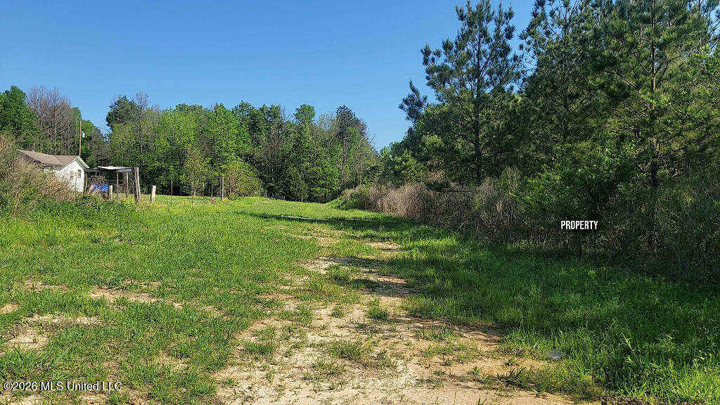 290 Mt Helm Road Brandon, MS 39047 - Photo 18 of 26 17