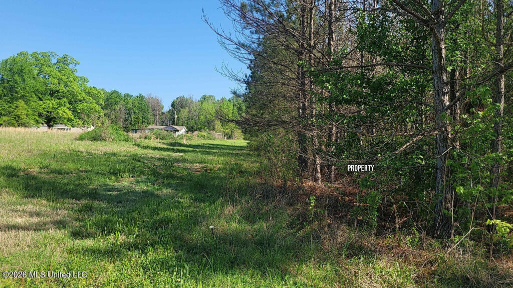 290 Mt Helm Road Brandon, MS 39047 - Photo 20 of 26 19