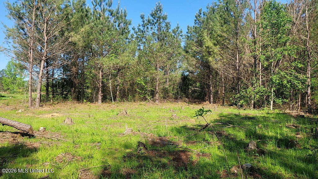 290 Mt Helm Road Brandon, MS 39047 - Photo 2 of 26 01