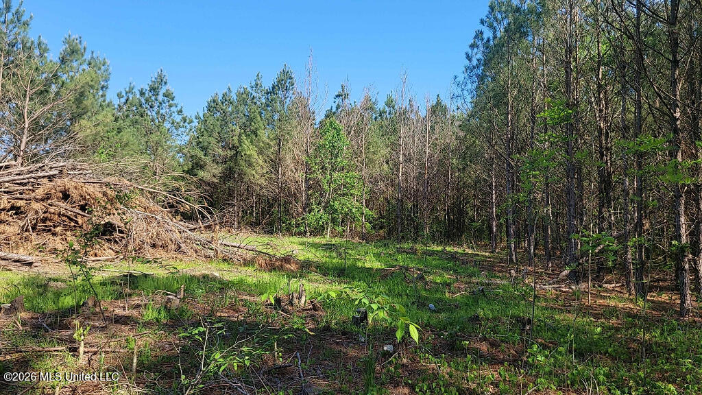290 Mt Helm Road Brandon, MS 39047 - Photo 21 of 26 20