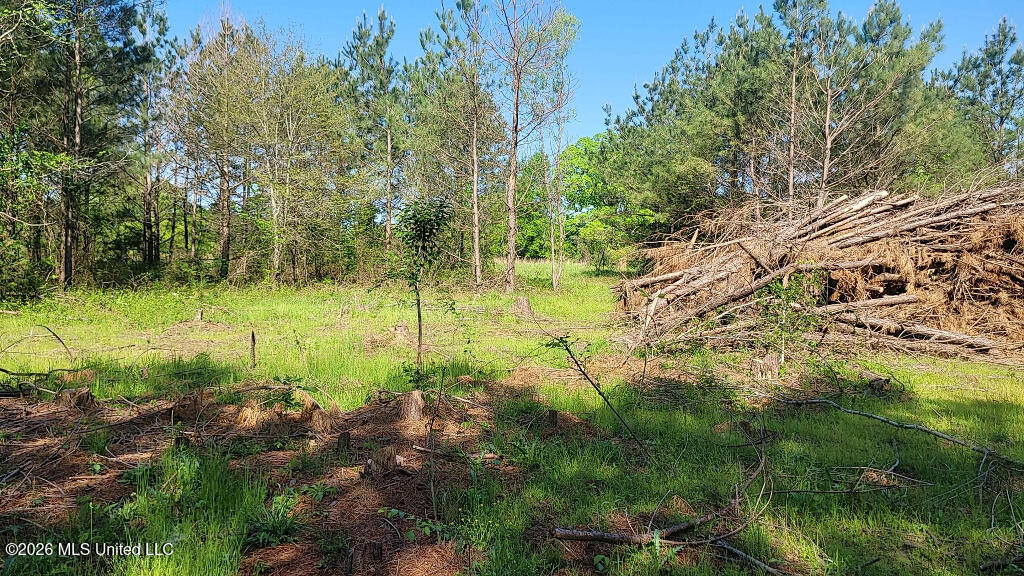 290 Mt Helm Road Brandon, MS 39047 - Photo 23 of 26 22
