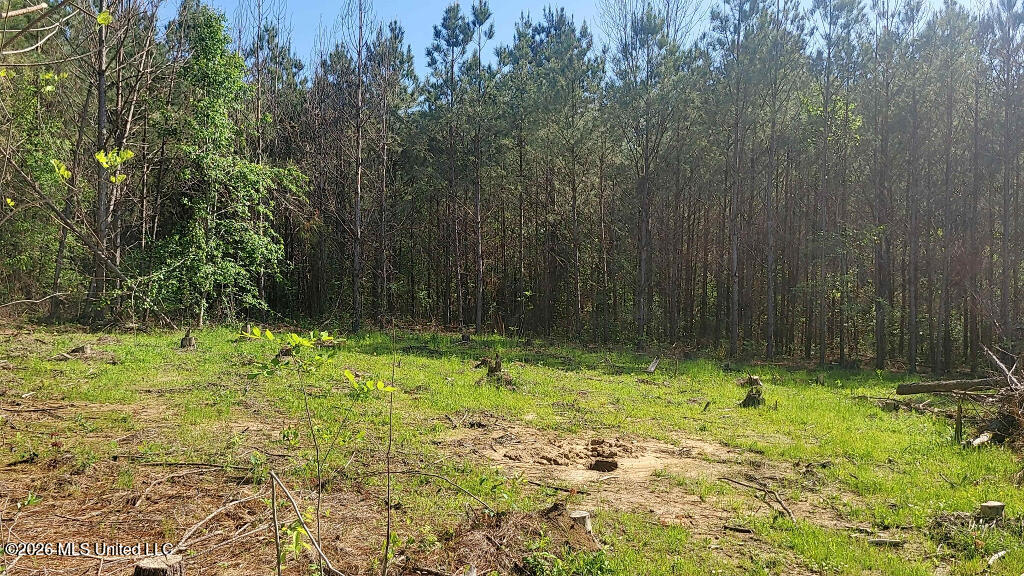 290 Mt Helm Road Brandon, MS 39047 - Photo 24 of 26 23