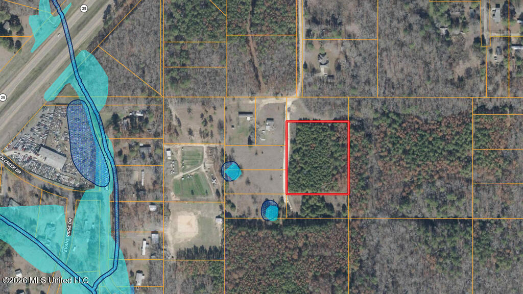 290 Mt Helm Road Brandon, MS 39047 - Photo 4 of 26 03