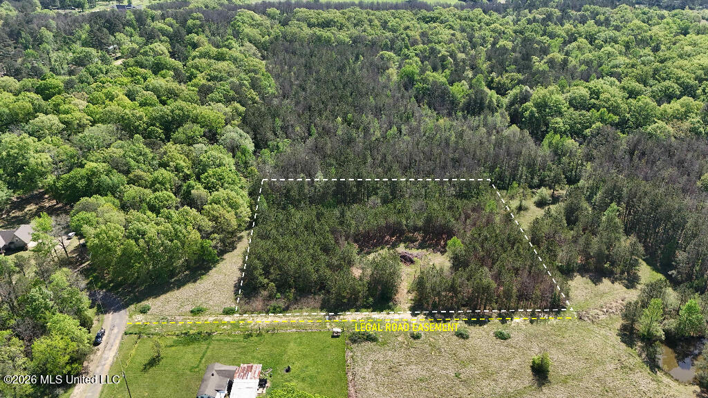 290 Mt Helm Road Brandon, MS 39047 - Photo 5 of 26 04