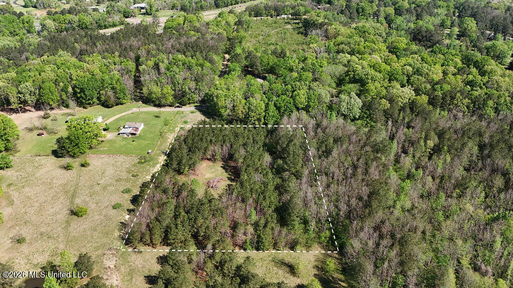 290 Mt Helm Road Brandon, MS 39047 - Photo 7 of 26 06