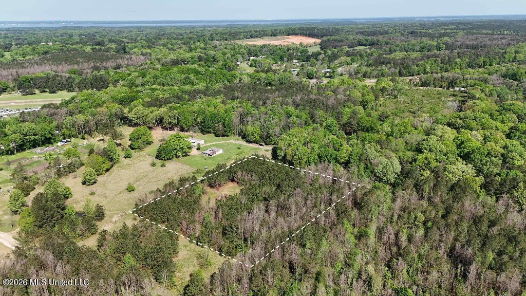 290 Mt Helm Road Brandon, MS 39047 - Photo 8 of 26 07