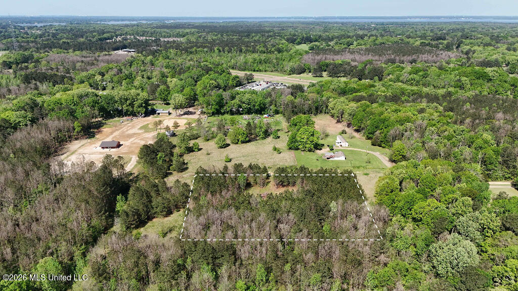 290 Mt Helm Road Brandon, MS 39047 - Photo 9 of 26 08