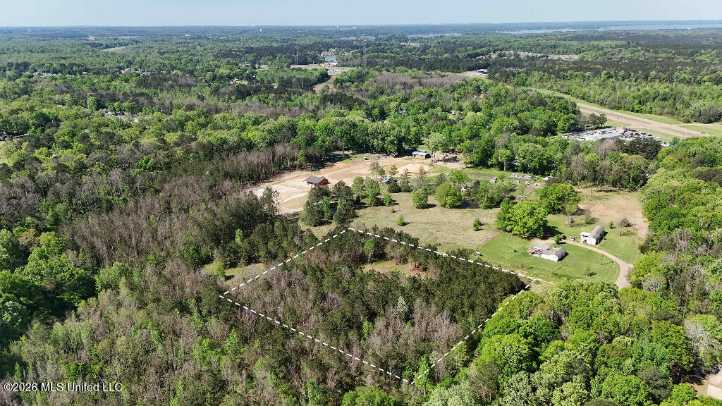 290 Mt Helm Road Brandon, MS 39047 - Photo 10 of 26 09