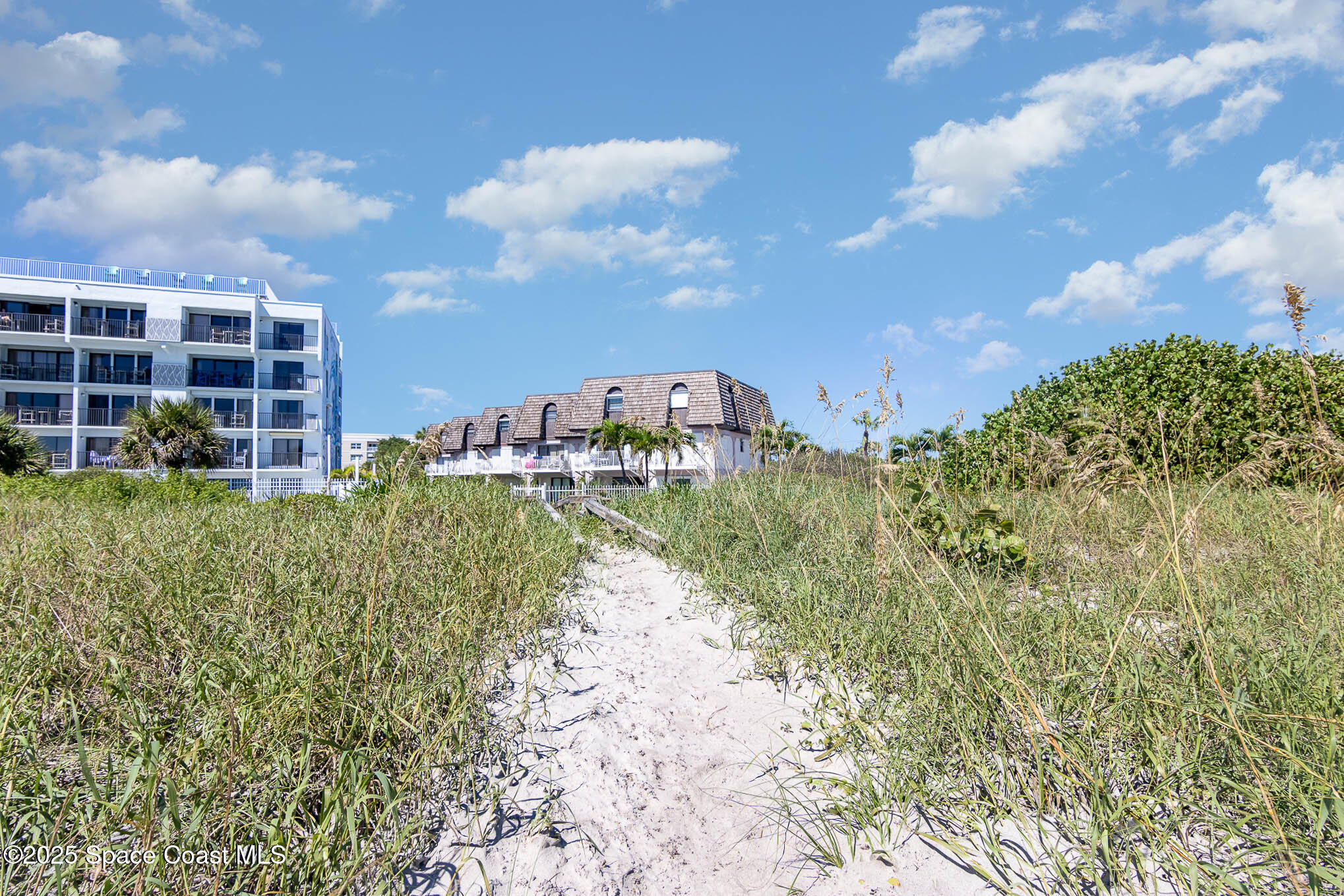 5350 Ocean Beach Boulevard, Unit 211 Cocoa Beach, FL 32931 - Photo 30 of 37 a view of a garden
