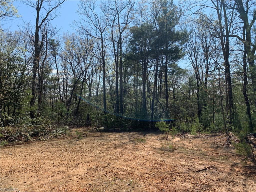 Lot 109 Pepper Bush Road Purlear, NC 28665 - Photo 1 of 9