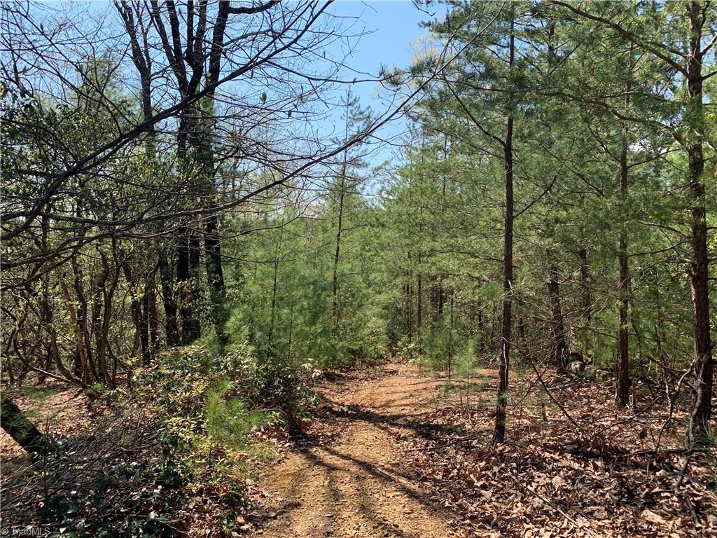 Lot 109 Pepper Bush Road Purlear, NC 28665 - Photo 2 of 9