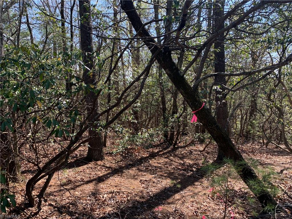 Lot 109 Pepper Bush Road Purlear, NC 28665 - Photo 3 of 9
