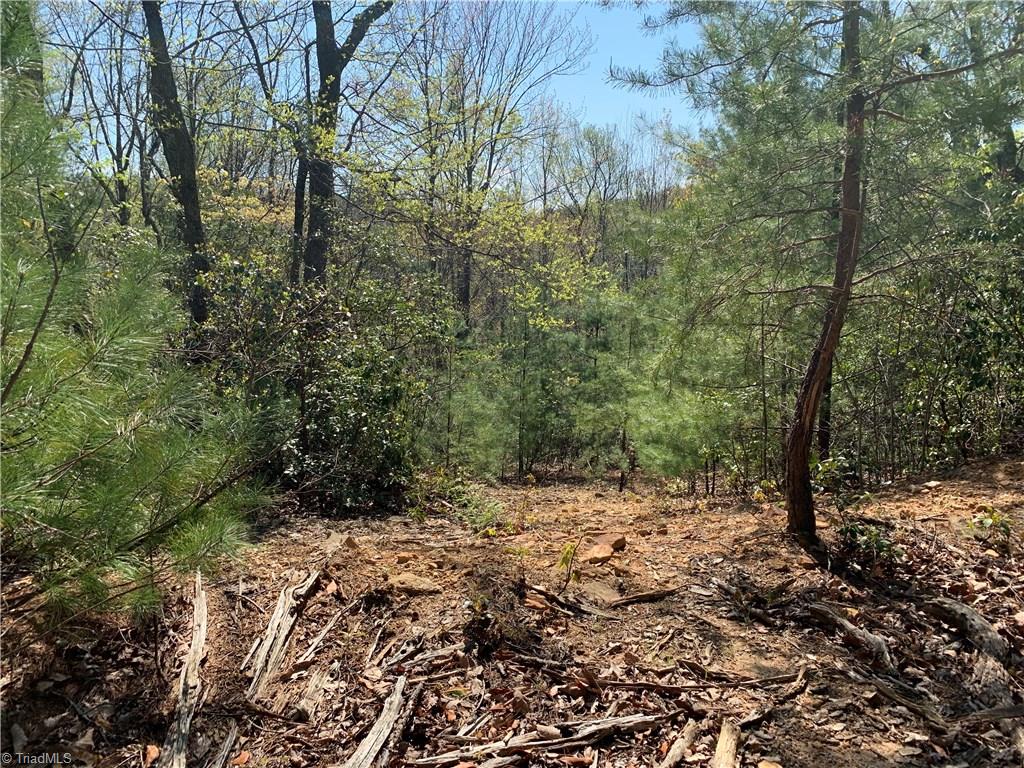 Lot 109 Pepper Bush Road Purlear, NC 28665 - Photo 4 of 9