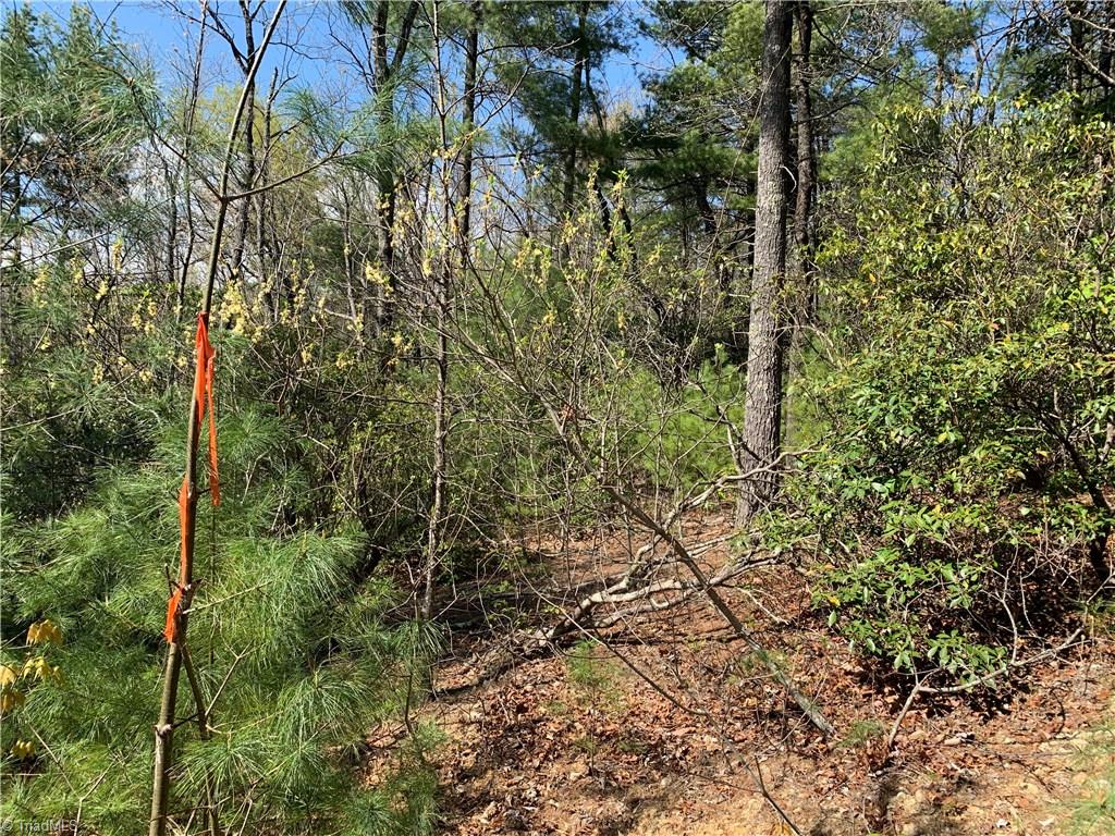 Lot 109 Pepper Bush Road Purlear, NC 28665 - Photo 6 of 9