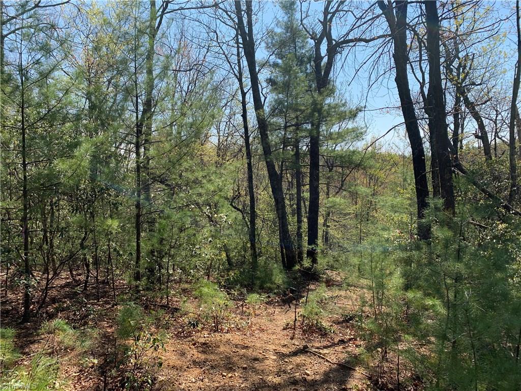 Lot 109 Pepper Bush Road Purlear, NC 28665 - Photo 7 of 9