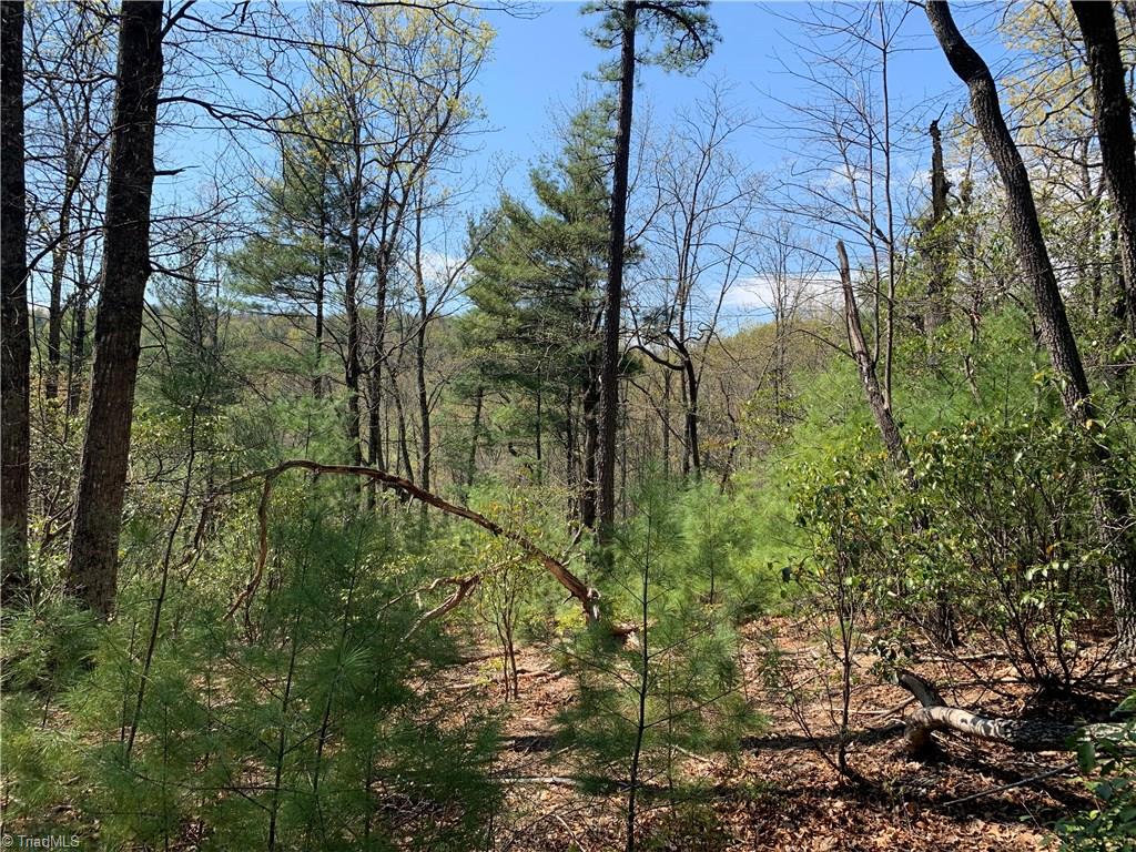 Lot 109 Pepper Bush Road Purlear, NC 28665 - Photo 8 of 9