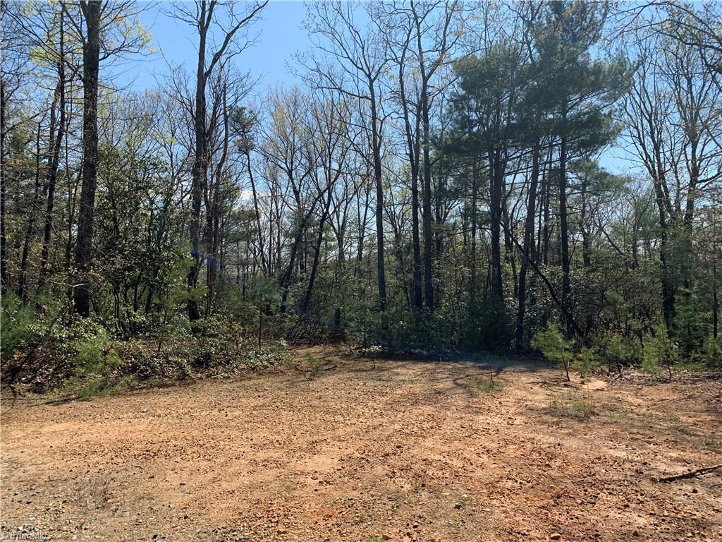 Lot 109 Pepper Bush Road Purlear, NC 28665 - Photo 9 of 9