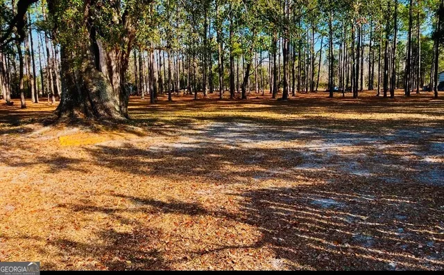 $362,000 | 4582 St Johns Church Road, Blackshear, GA 31516