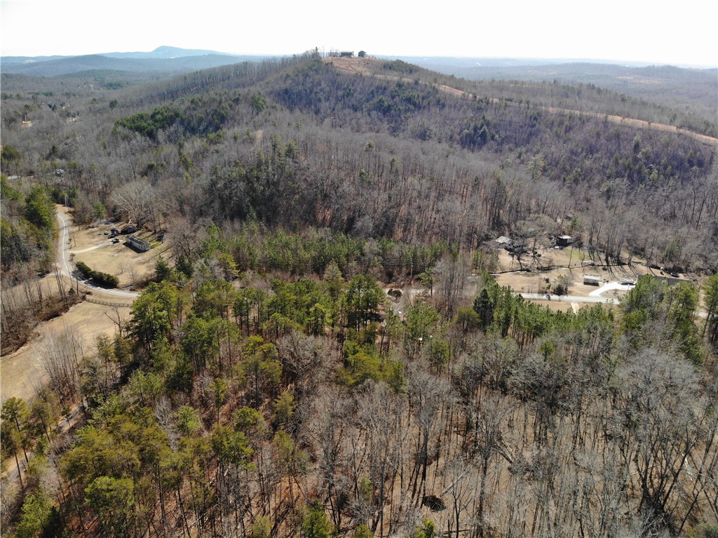 319 Cove Creek Road Pickens, SC 29671 - Photo 3 of 22 Vast wilderness with diverse foliage offers a serene escape amidst rolling hills.