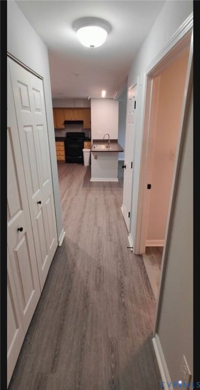 600 Fern Meadow Loop, Unit 304 Midlothian, VA 23114 - Photo 10 of 12 Corridor featuring dark wood-style flooring and a