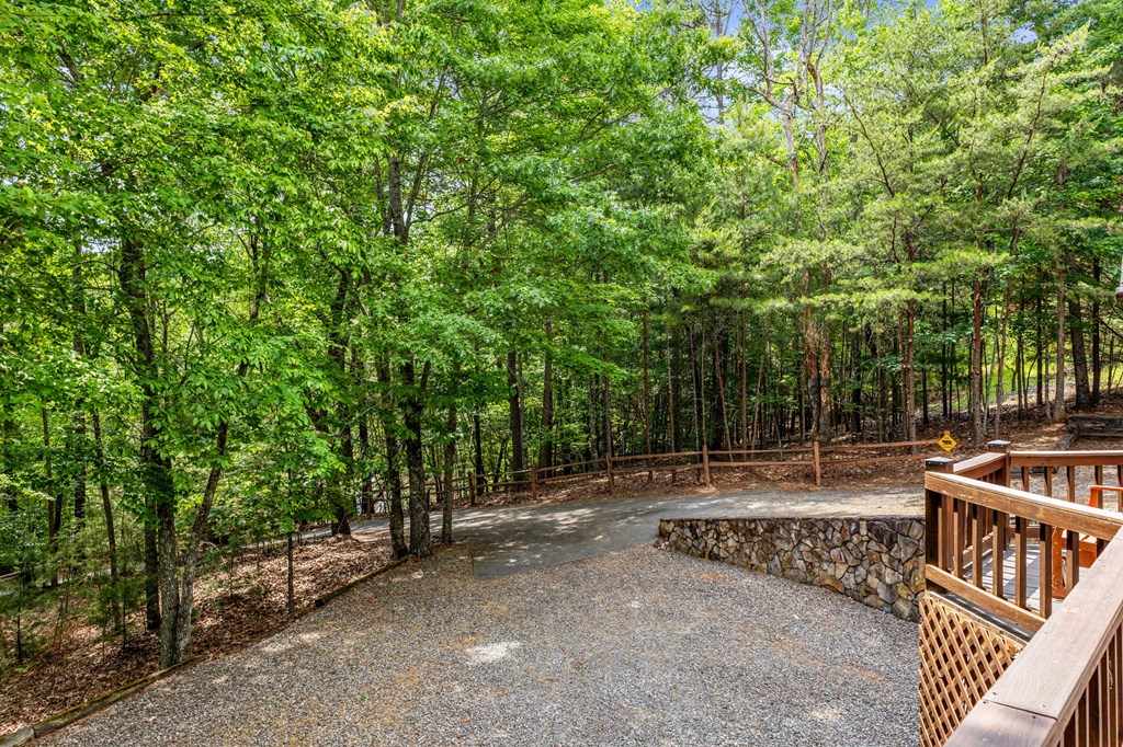 220 Blue Ridge Trail Morganton, GA 30560 - Photo 51 of 58
