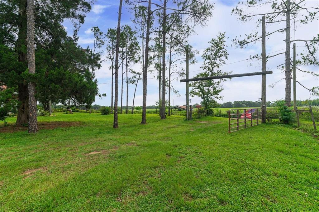 39425 Wilds Road Dade City, FL 33525 - Photo 31 of 68