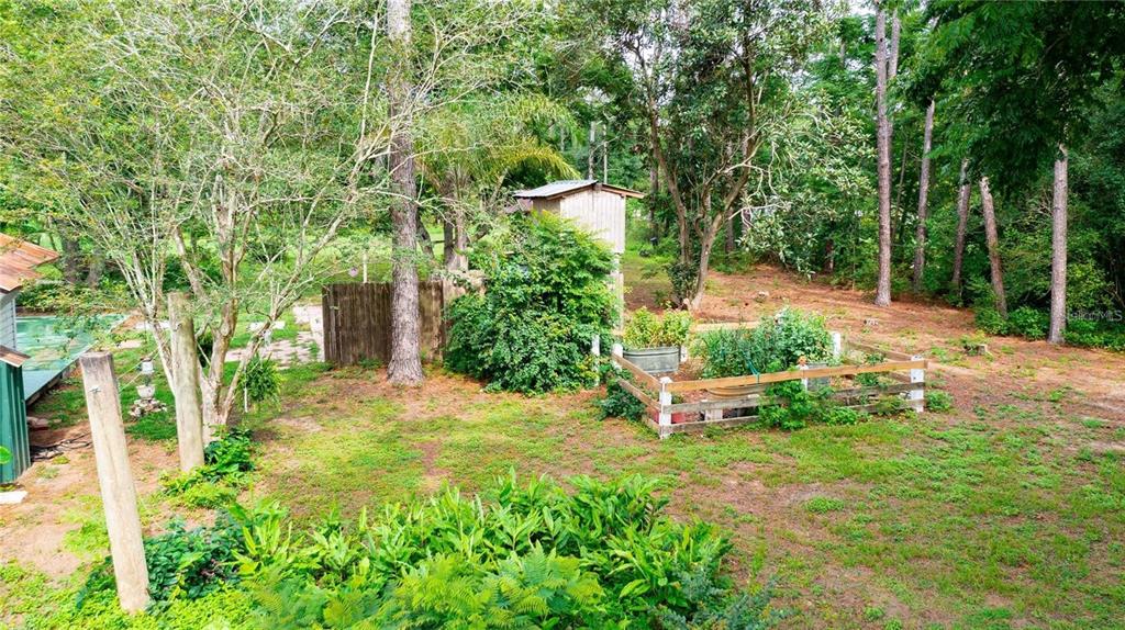 39425 Wilds Road Dade City, FL 33525 - Photo 44 of 68