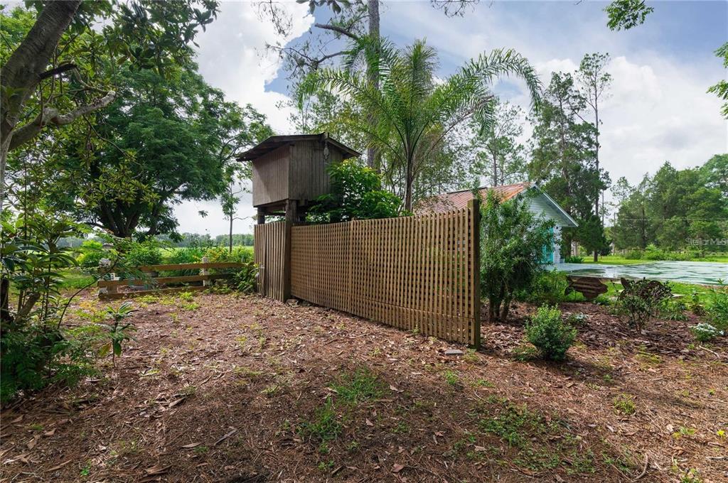 39425 Wilds Road Dade City, FL 33525 - Photo 50 of 68