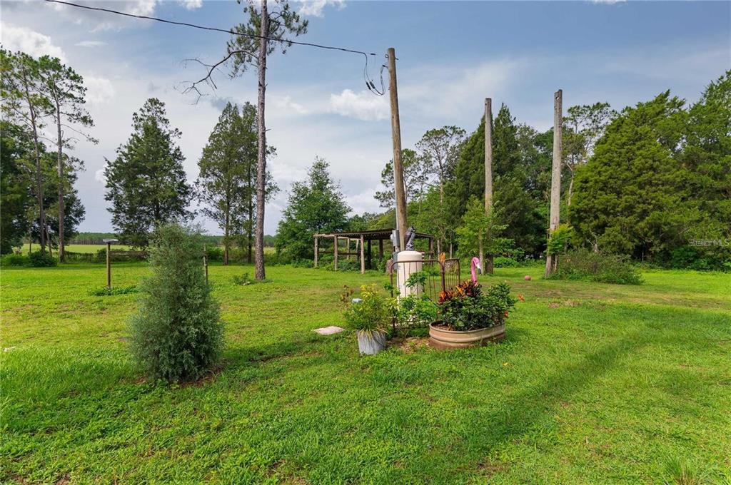 39425 Wilds Road Dade City, FL 33525 - Photo 55 of 68
