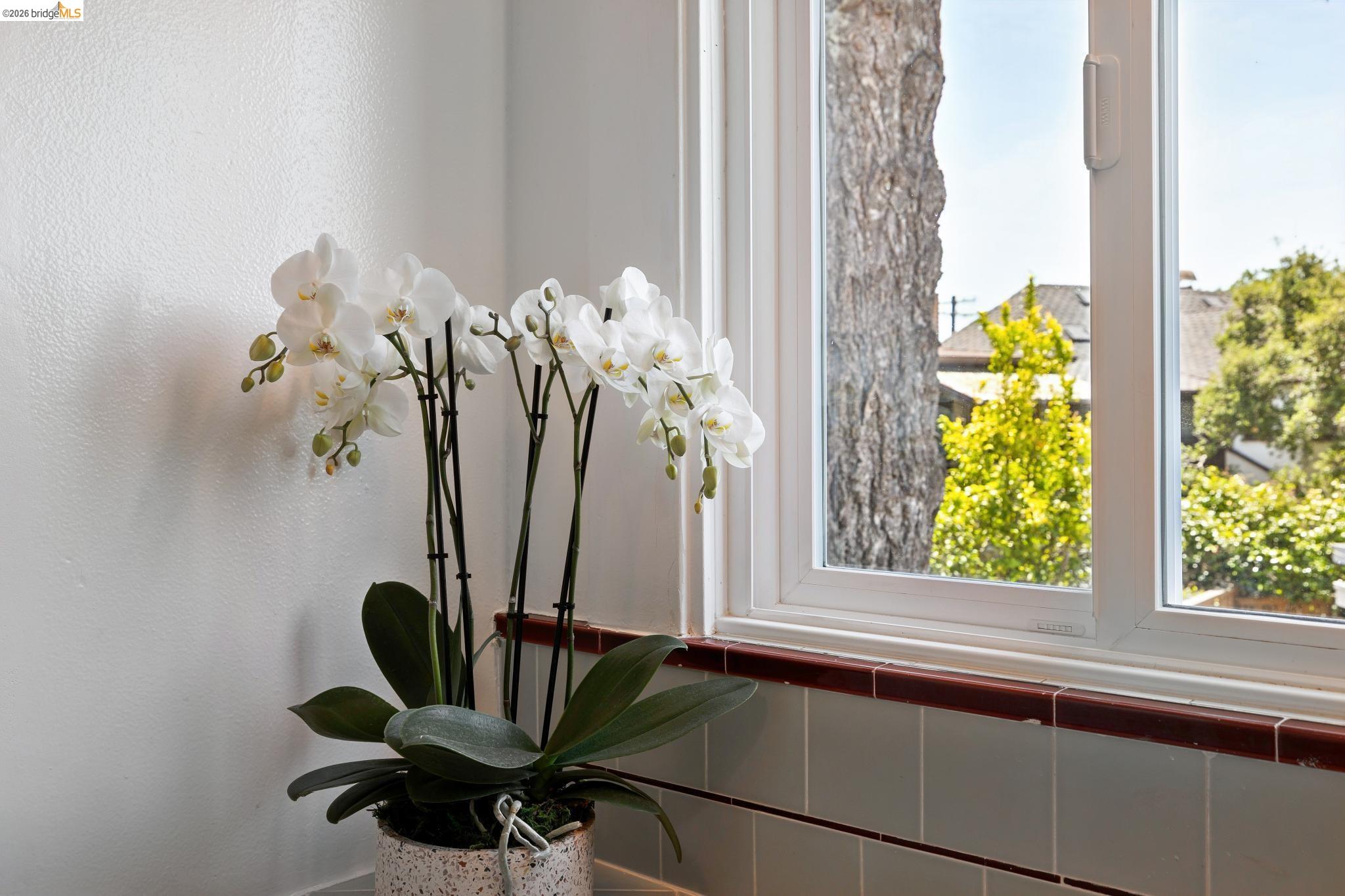 178 Ardmore Road Kensington, CA 94707 - Photo 26 of 50