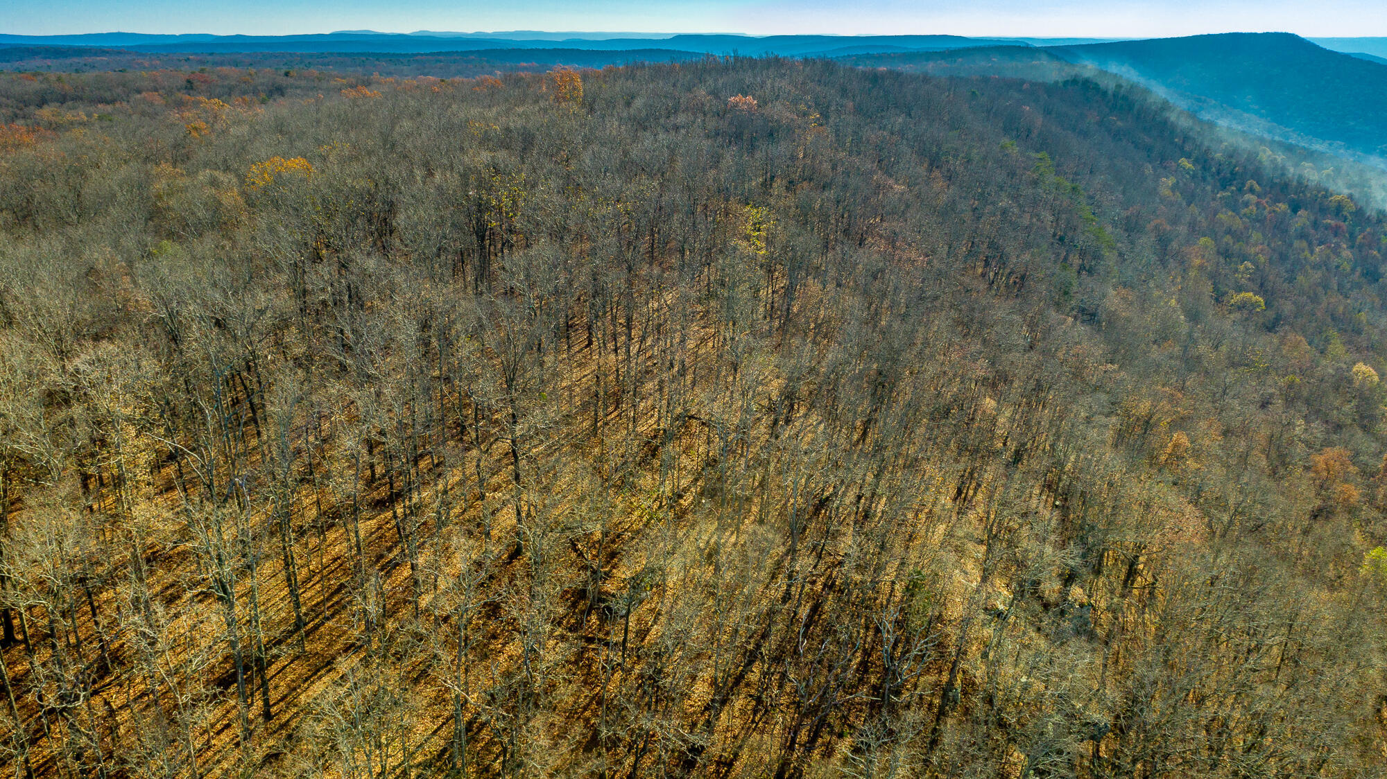 1111 Ditch Gap Road Whitwell, TN 37397 - Photo 37 of 39 DG Ridge 5