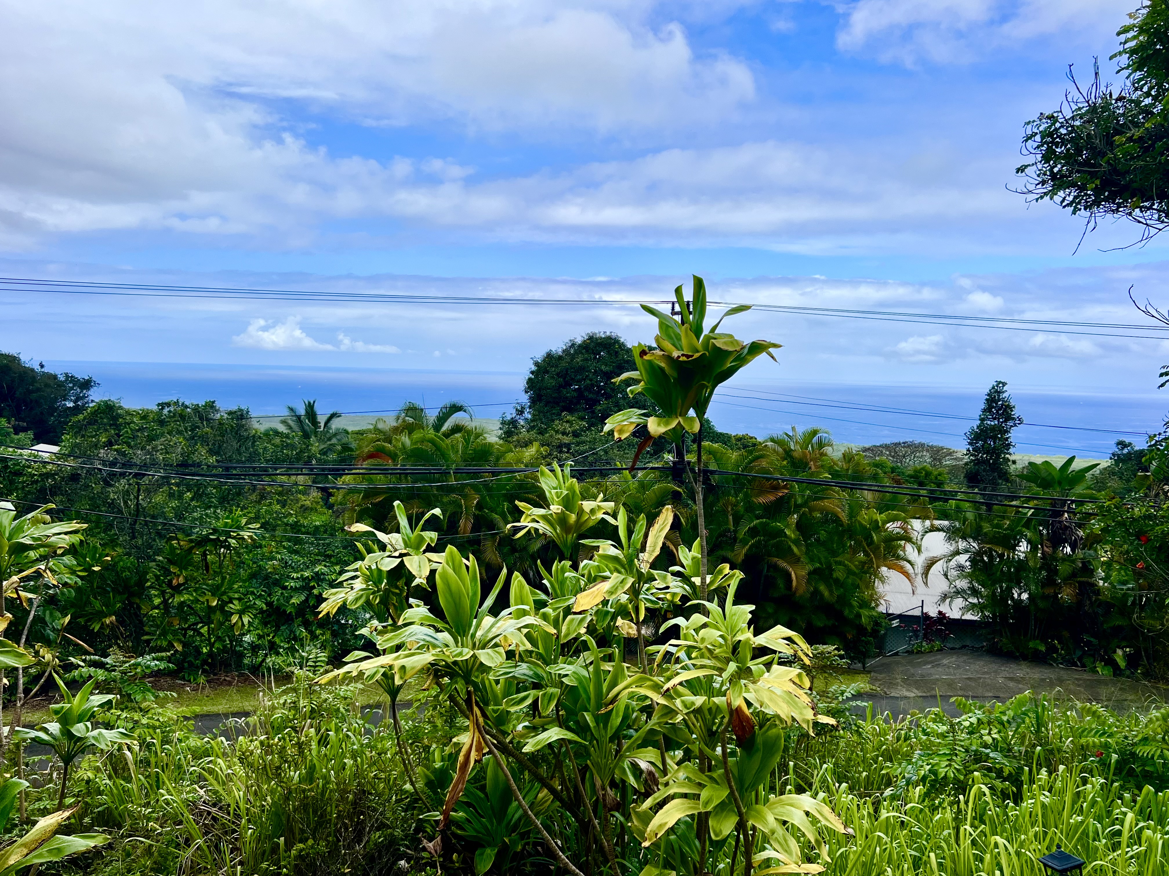 83-5532 Middle Keei Road Captain Cook, HI 96704 - Photo 2 of 24 Gallery Image 2
