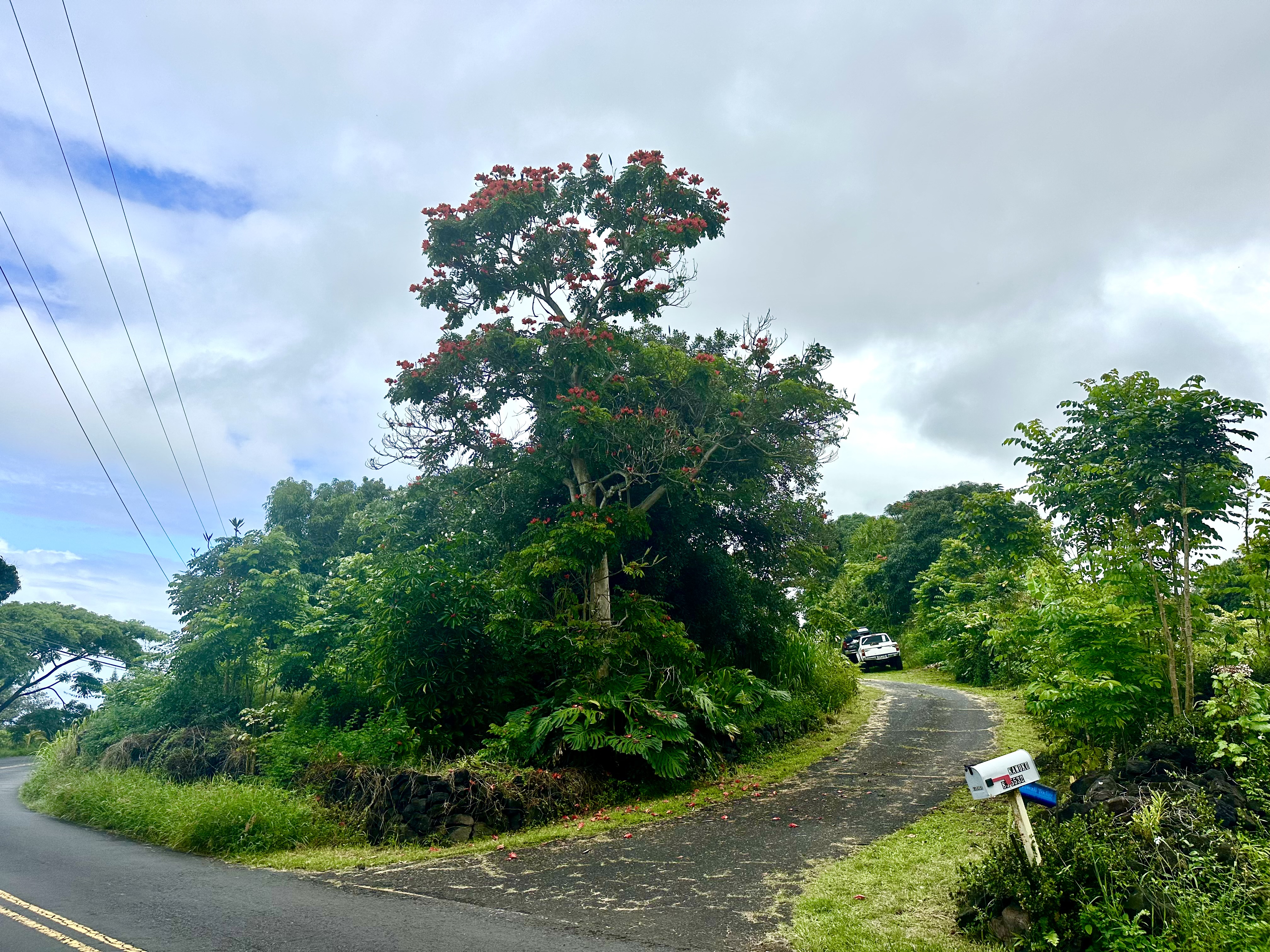 83-5532 Middle Keei Road Captain Cook, HI 96704 - Photo 23 of 24 Gallery Image 23