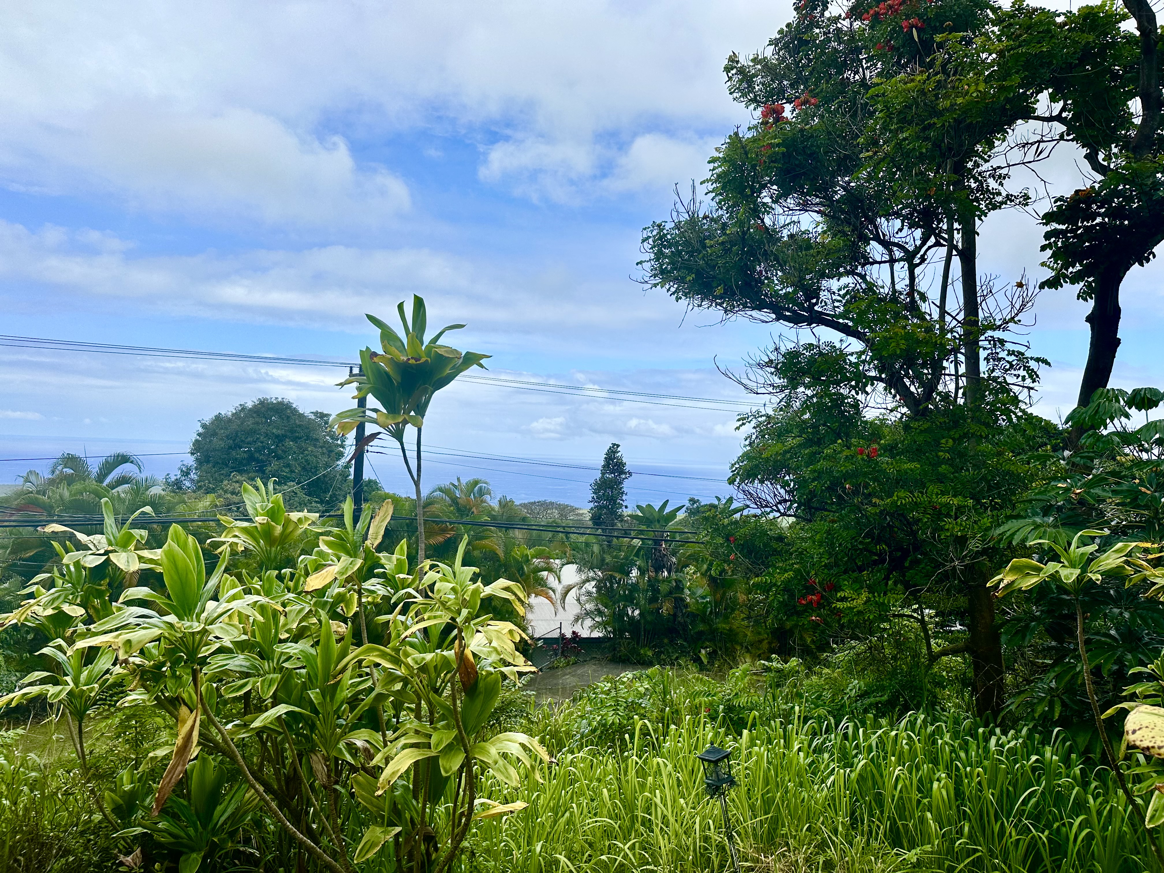 83-5532 Middle Keei Road Captain Cook, HI 96704 - Photo 24 of 24 Gallery Image 24