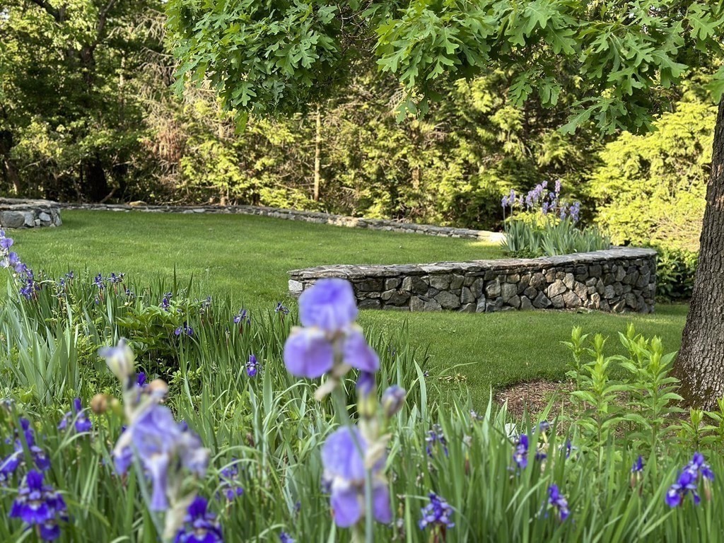 11 Laurel Road Brookline, MA 02467 - Photo 16 of 24