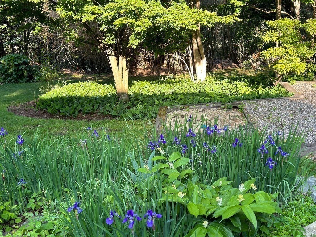 11 Laurel Road Brookline, MA 02467 - Photo 18 of 24 a view of a garden with plants
