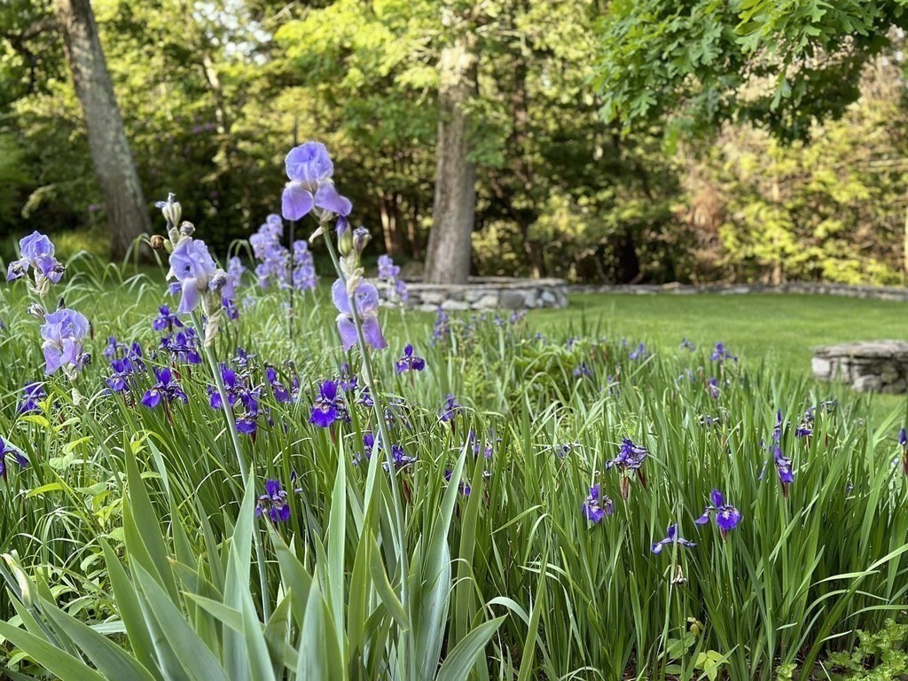 11 Laurel Road Brookline, MA 02467 - Photo 19 of 24