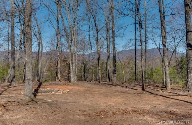 322 Pleasant Hill Road Landrum, SC 29356 - Photo 8 of 23 a backyard of a house with lots of green space