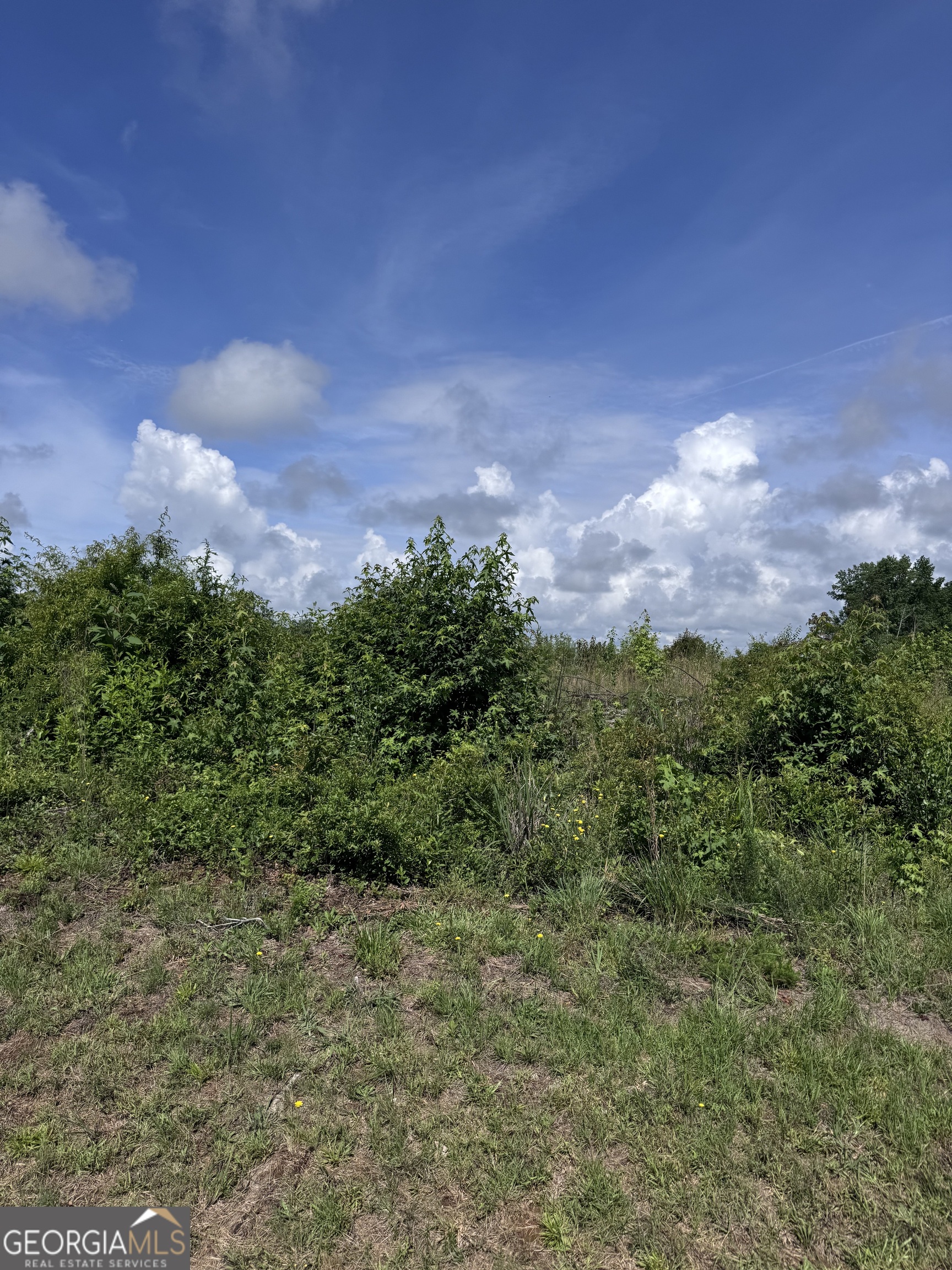 0 Po Biddy Road Thomaston, GA 30286 - Photo 10 of 15