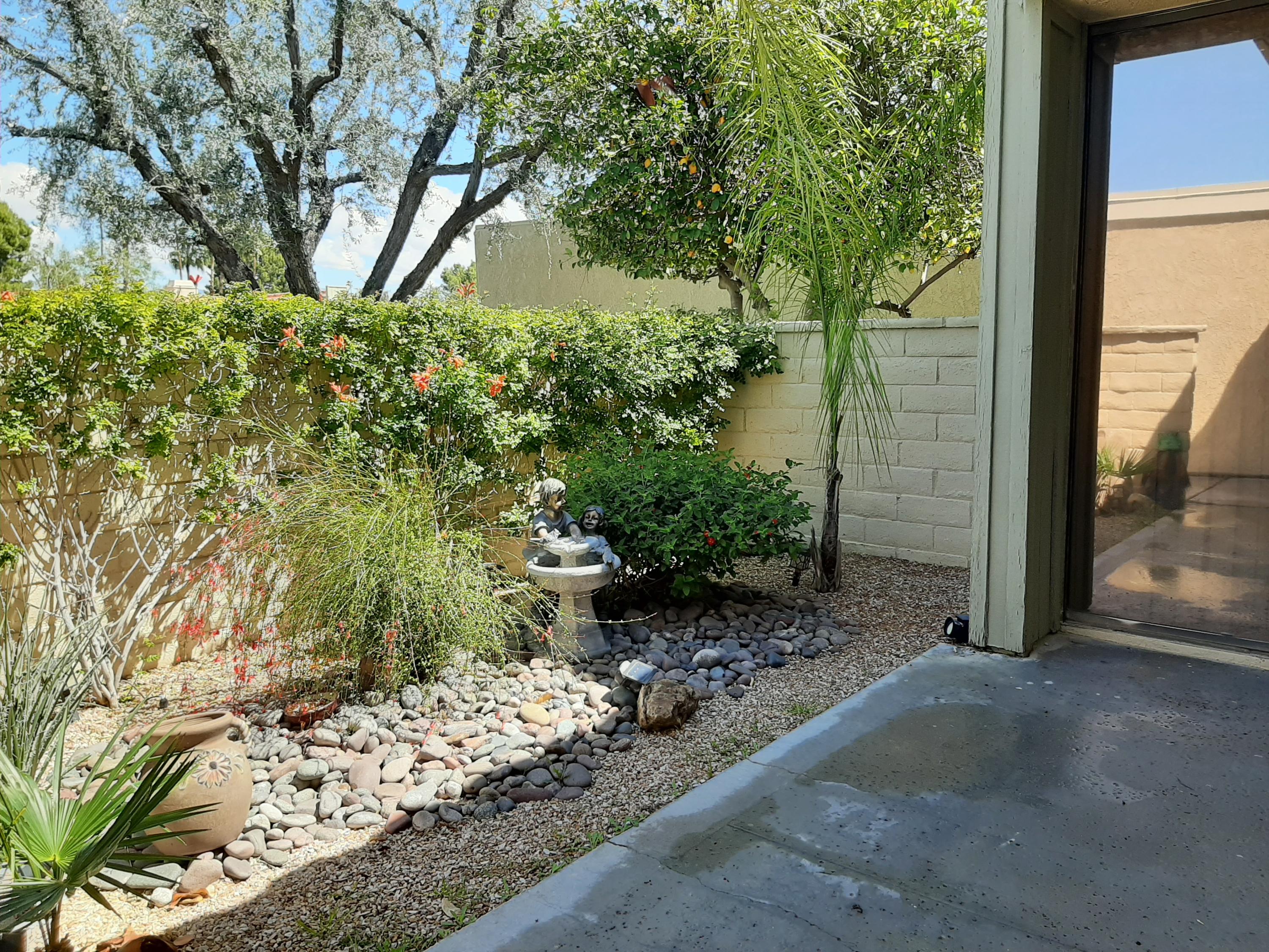 72385 Beverly Way Rancho Mirage, CA 92270 - Photo 14 of 24 a backyard of a house with lots of green space