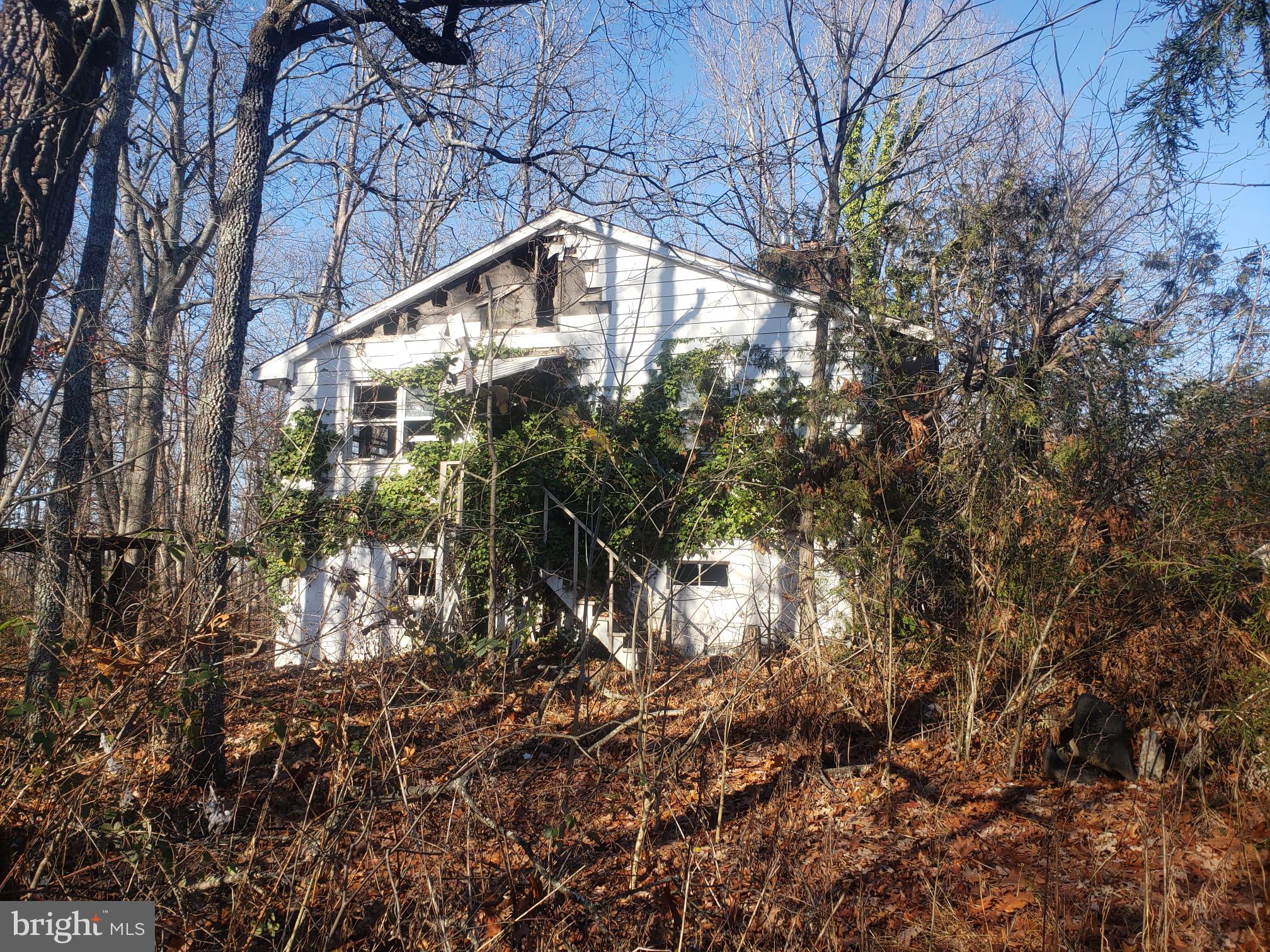 26915 Gum Spring Road Chantilly, VA 20152 - Photo 11 of 39 inhabitable old house