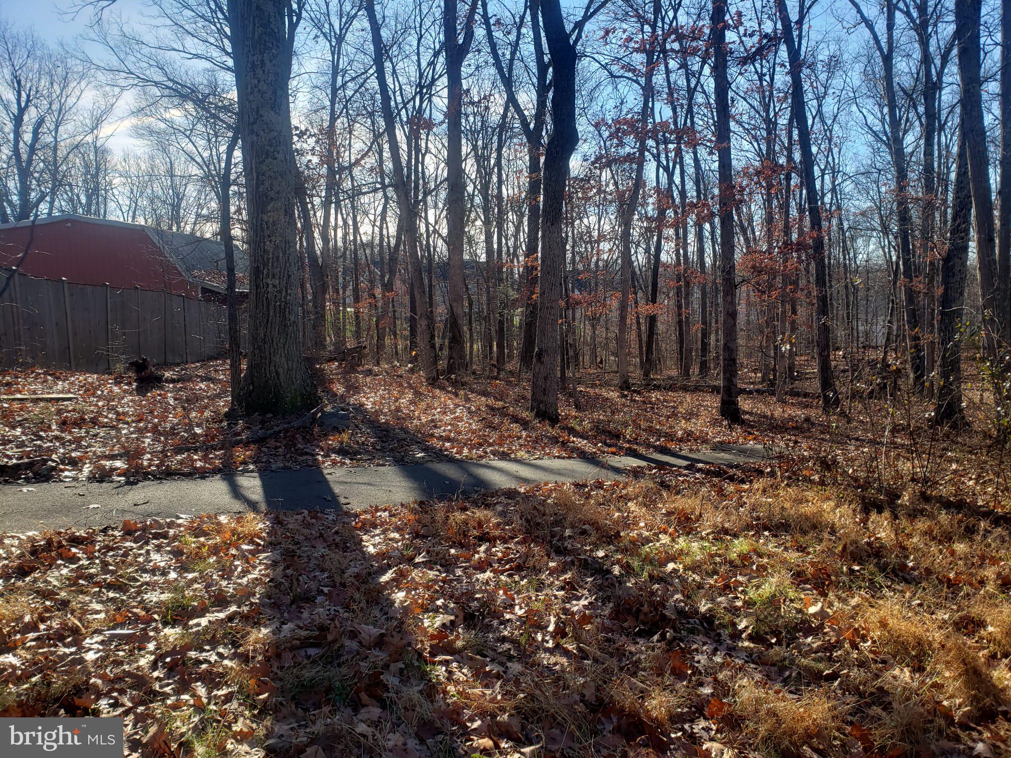 26915 Gum Spring Road Chantilly, VA 20152 - Photo 14 of 39 walking trail