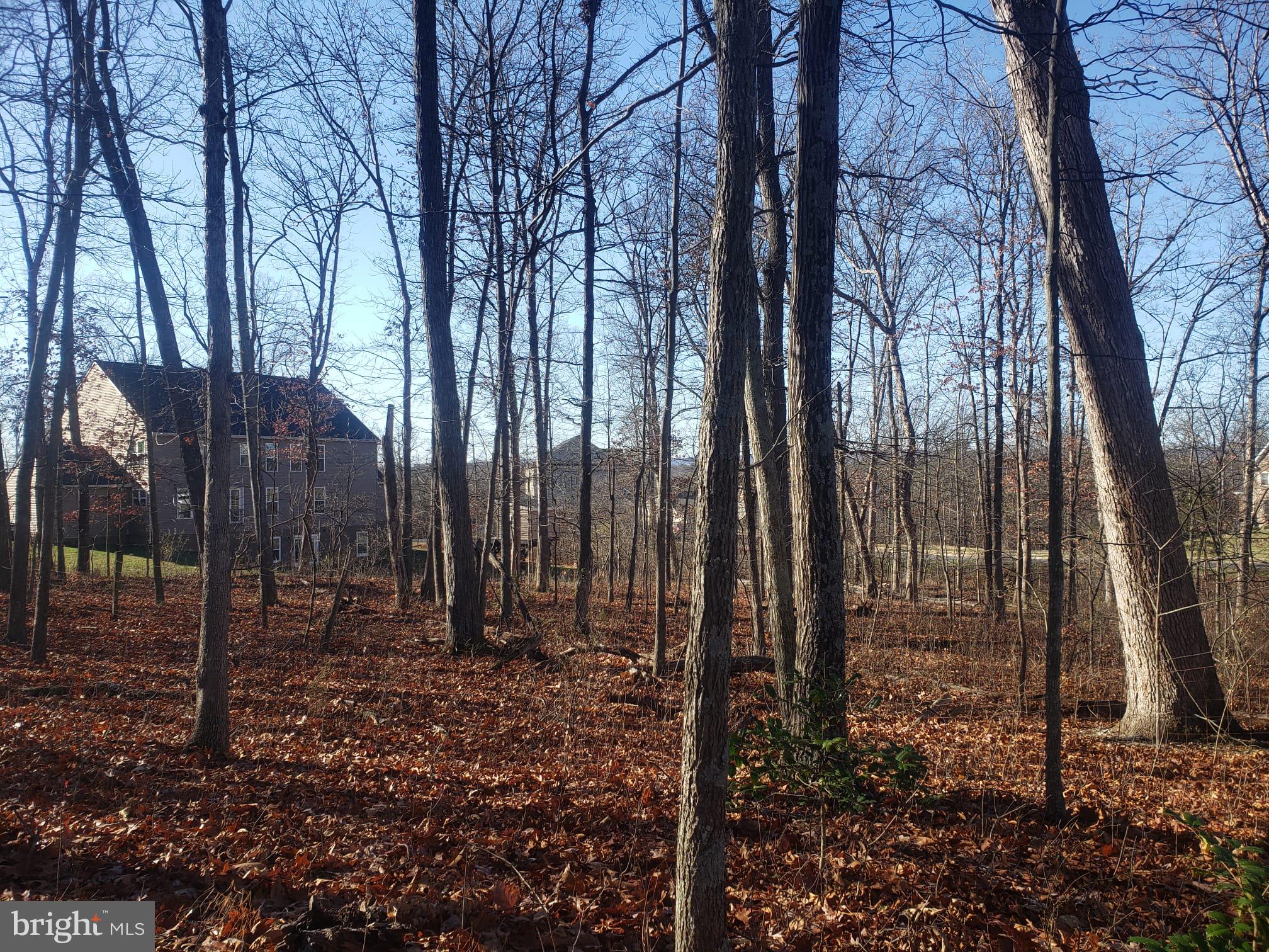 26915 Gum Spring Road Chantilly, VA 20152 - Photo 18 of 39 Neighborhood in distance